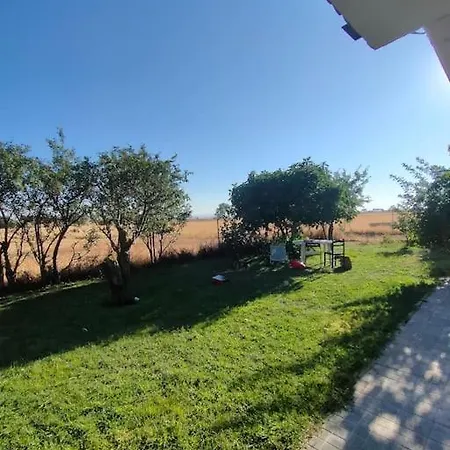 De Tony En Plena Naturaleza Adanero