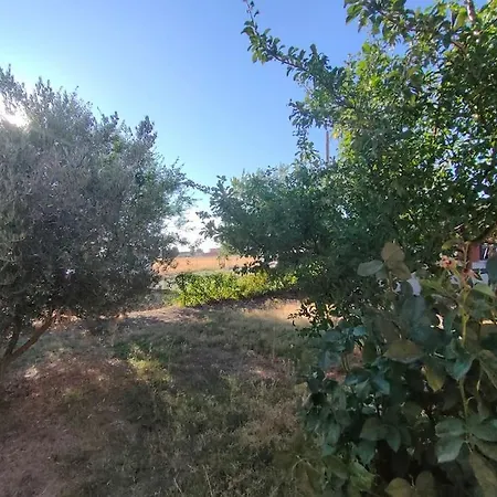 De Tony En Plena Naturaleza Holiday home *