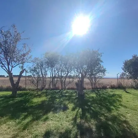 De Tony En Plena Naturaleza * Adanero